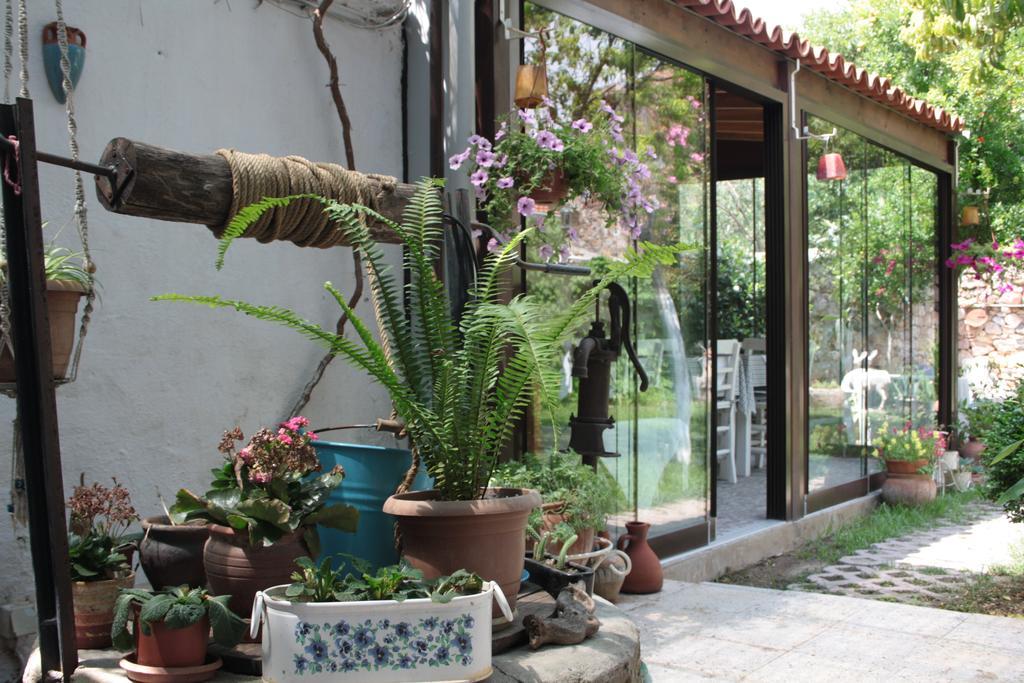 Ayvalı Istanbul Pension מראה חיצוני תמונה
